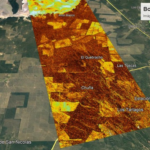 Bosques Saocom Imagen Polarimetrica